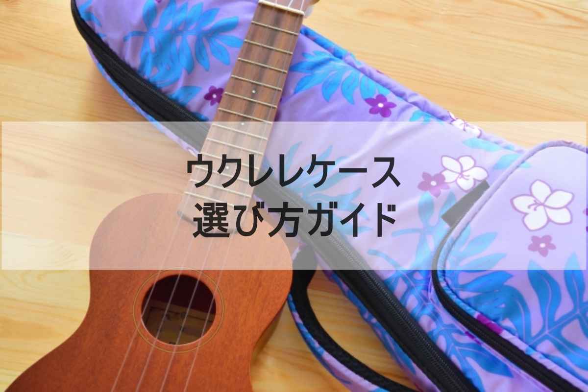 ウクレレケースのイメージ画像